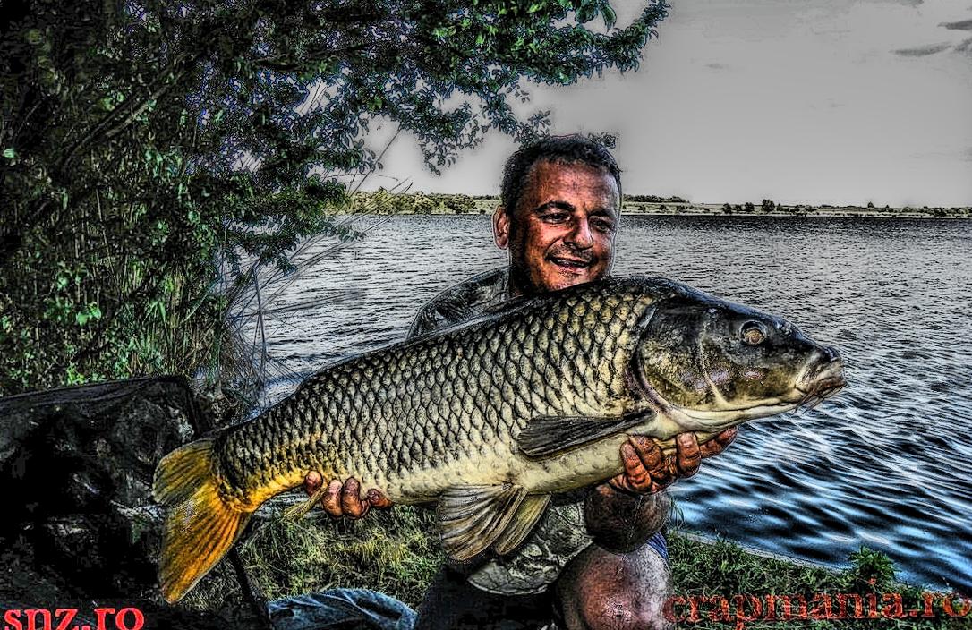 Crapmania (3) - 2013 - 1010490hdrmode2.JPG